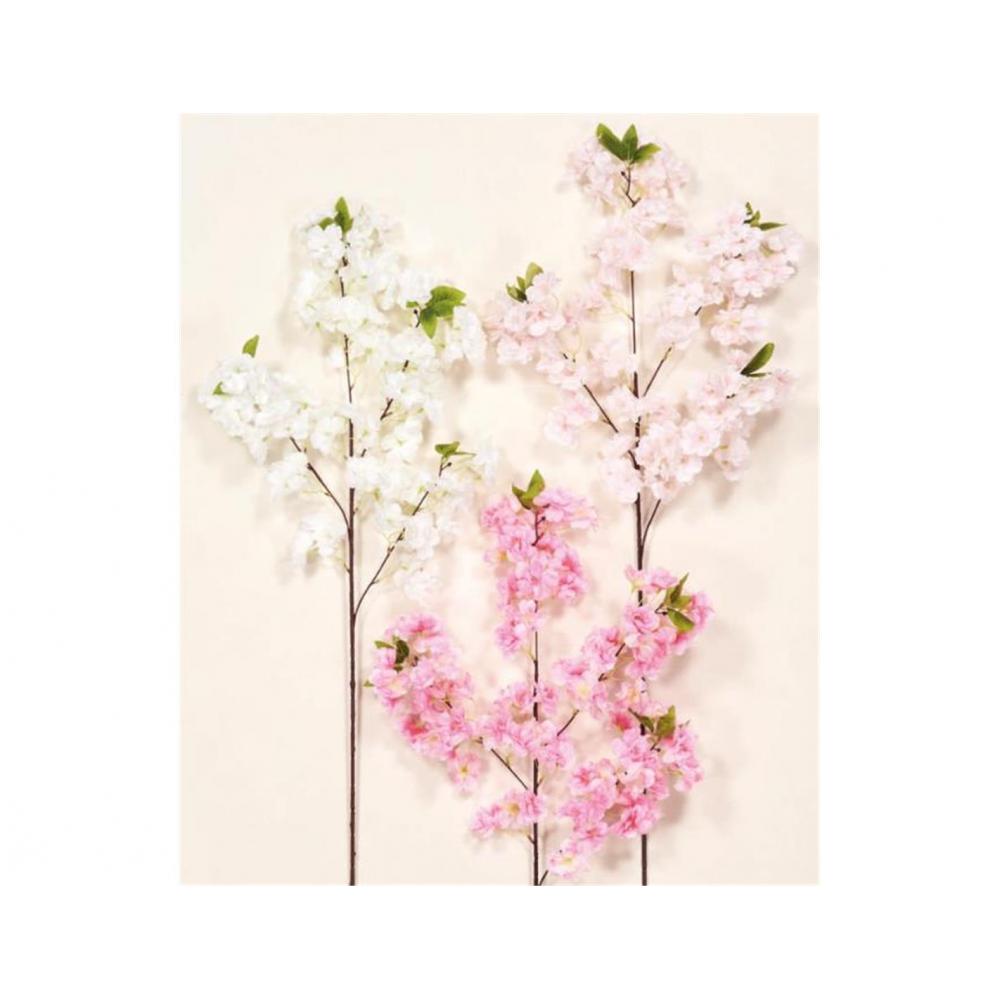 KΛAΔI KEPAΣIA 95EK.  3χρ. Plastona 00.17.22140