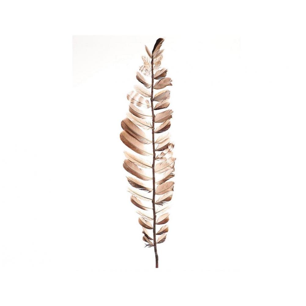 Κλαδί με πούπουλα Η80cm Plastona 012.862463001