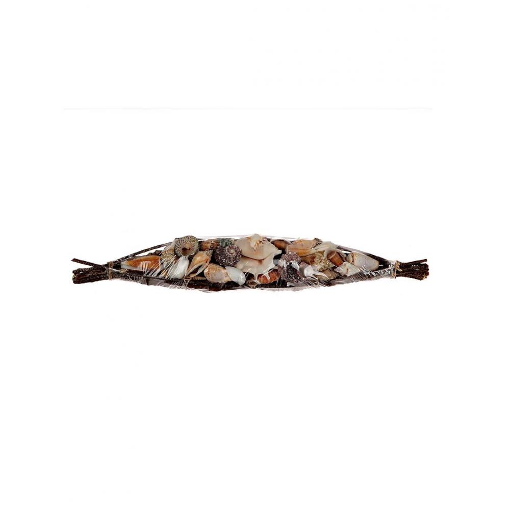 Κοχύλια σε ξύλινη βάρκα 51x10x8cm Plastona 012.632503026