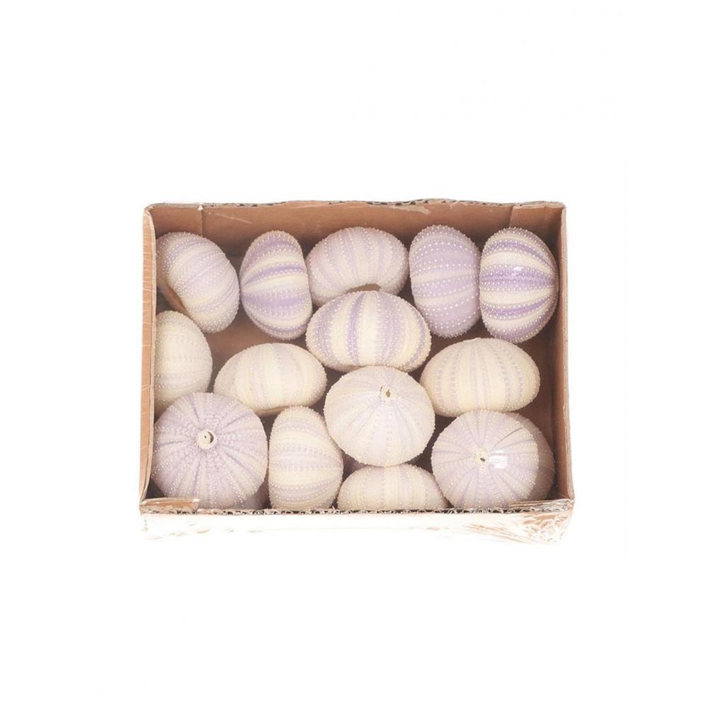 Κοχύλια σετ 17τμχ 20Χ15Χ6cm Plastona 012.632403028