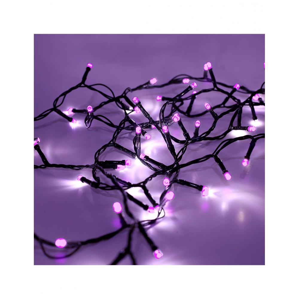 Λαμπάκια Χ240LED επεκ.συχν.πρασ.μωβ 16Μ Plastona 00.11.9780220