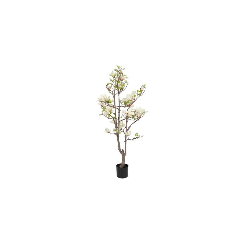 Μανώλια λευκή σε κασπώ 80xΗ150cm Plastona 013.821638
