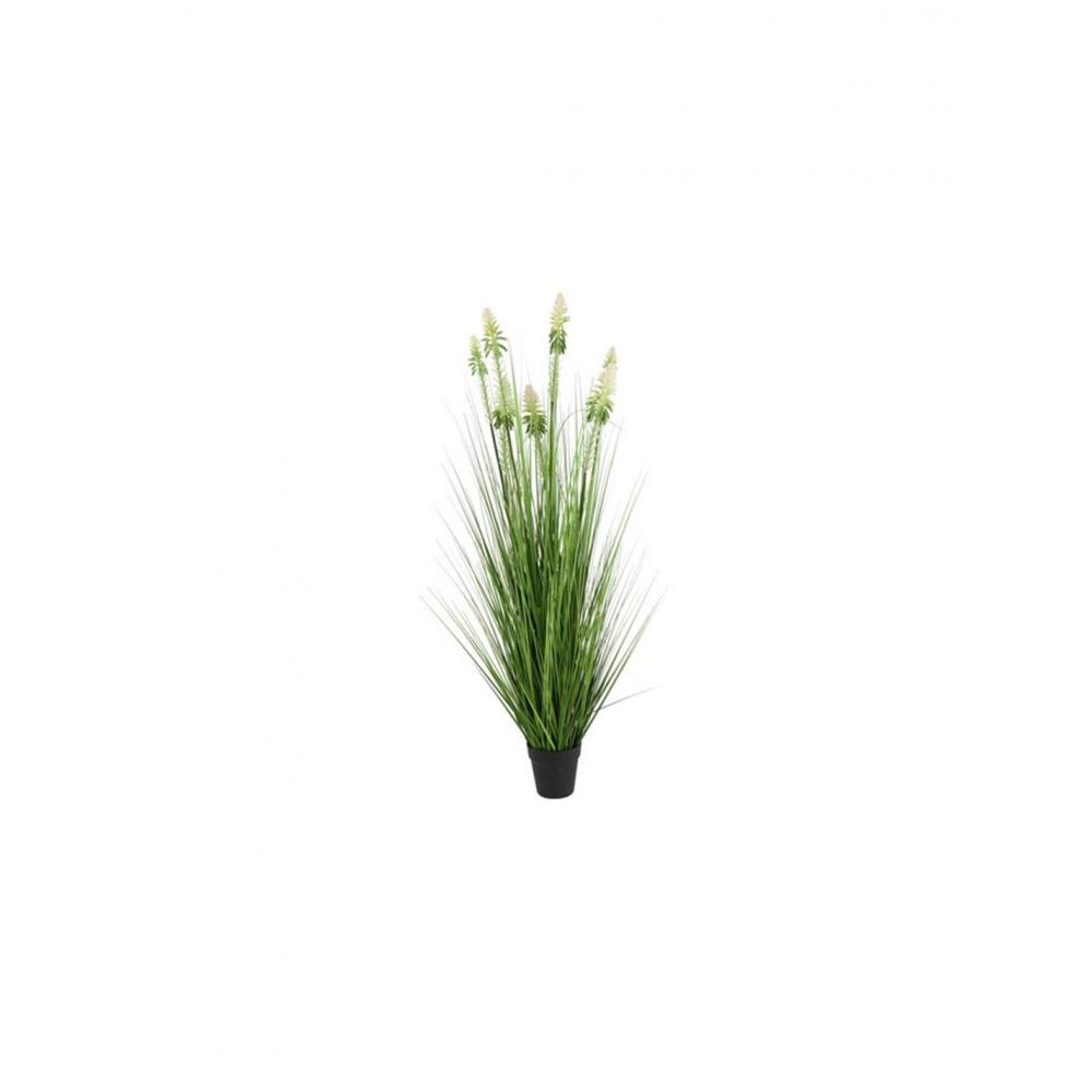 Neobartsia λευκή σε κασπώ 120εκ. Plastona 013.828377