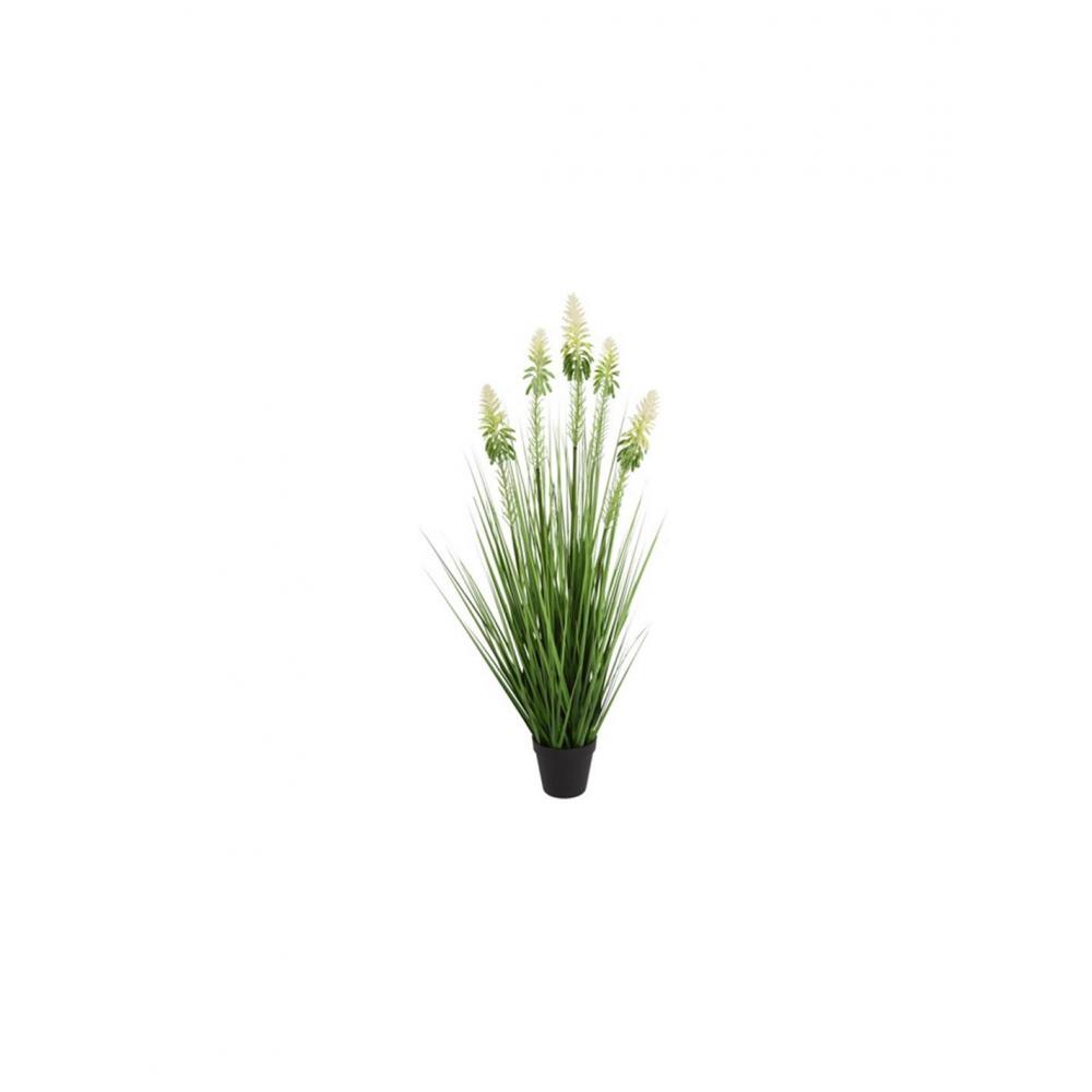 Neobartsia λευκή σε κασπώ 90εκ. Plastona 013.828376