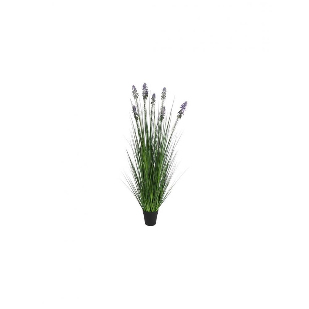 Neobartsia λιλά σε κασπώ 120εκ. Plastona 013.828380