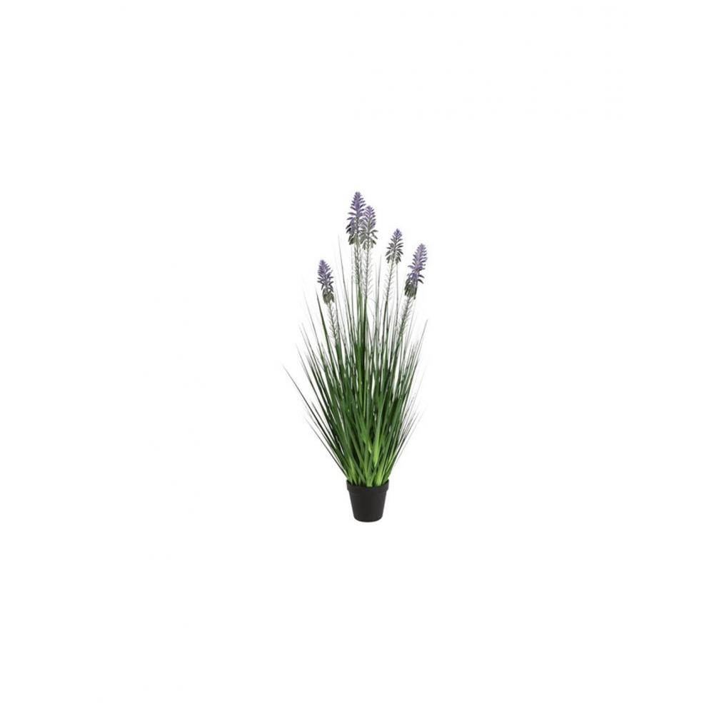 Neobartsia λιλά σε κασπώ 90εκ. Plastona 013.828379