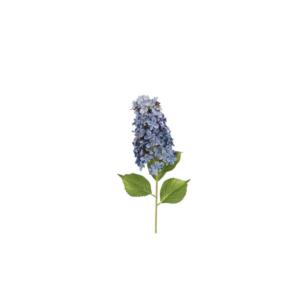 Ορτανσία Paniculata κλαδί μπλε 83εκ. Plastona 013.821891