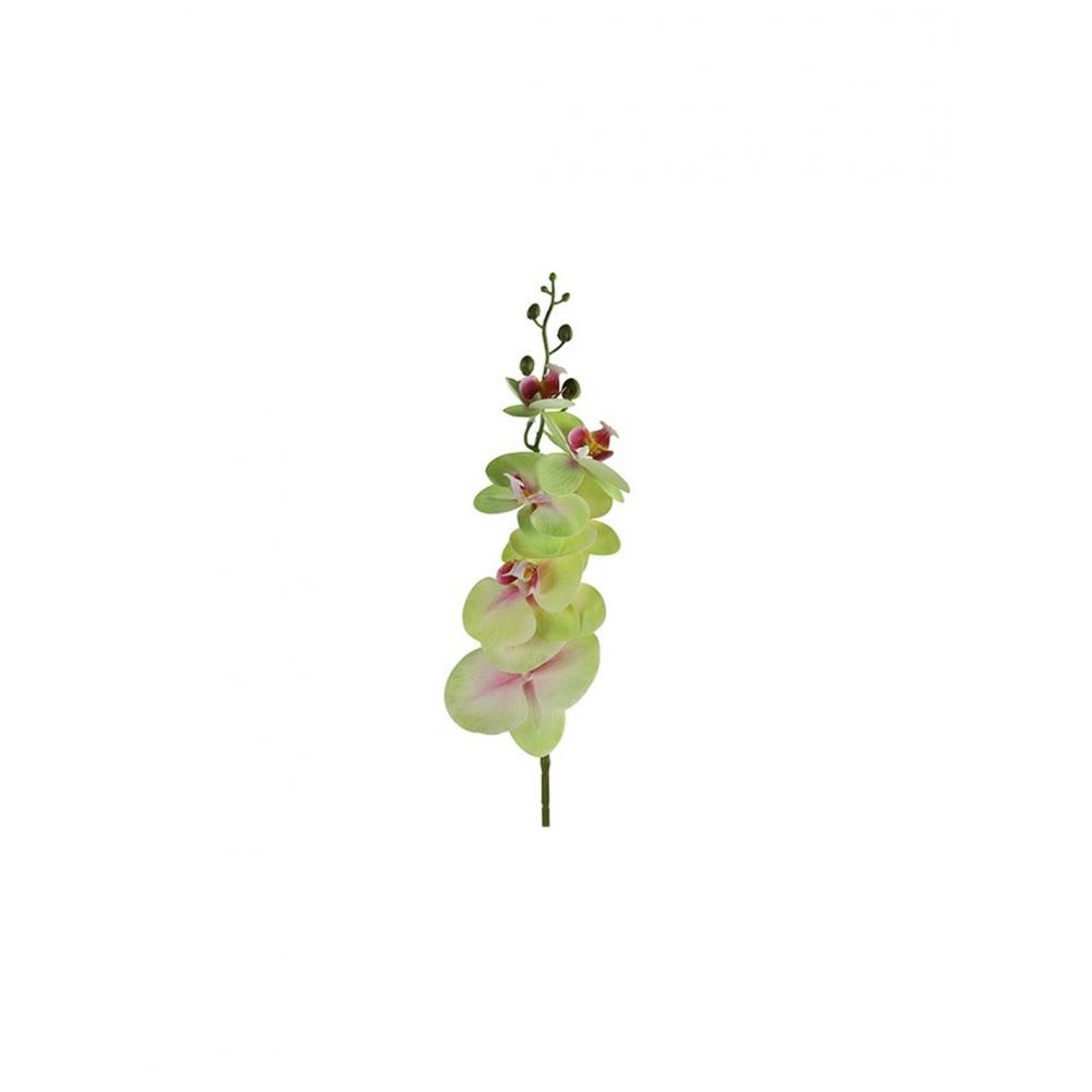 Ορχιδέα κλαδί  πράσινη Η83cm Plastona 013.796072