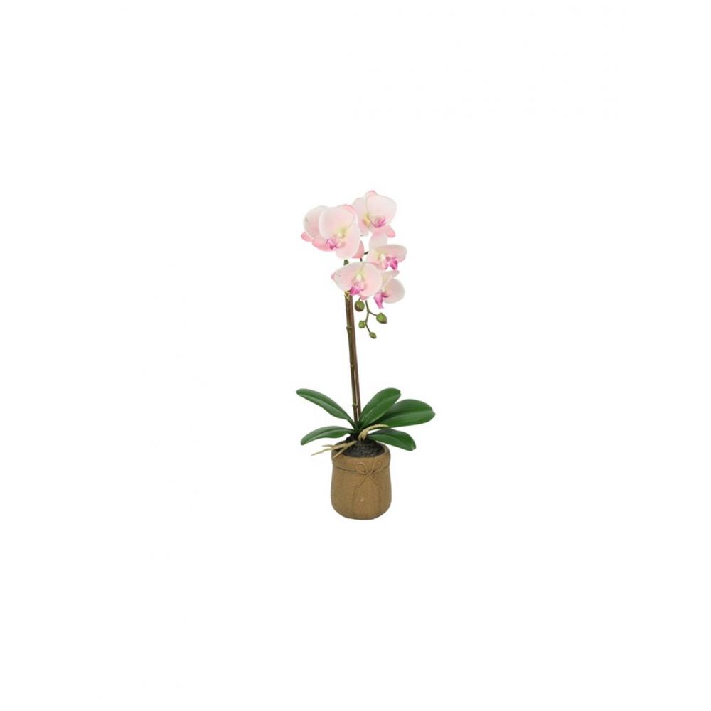Ορχιδέα ροζ σε κασπώ Η45cm Plastona 013.816588