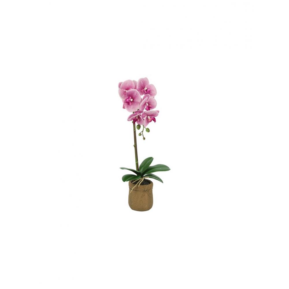 Ορχιδέα ροζ σκούρο σε κασπώ Η45cm Plastona 013.816589