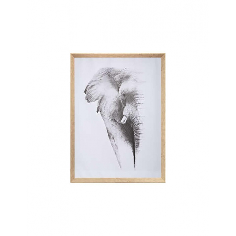 Πίνακας ANIMAL 2σχ. 58Χ78 Plastona 07.166905D