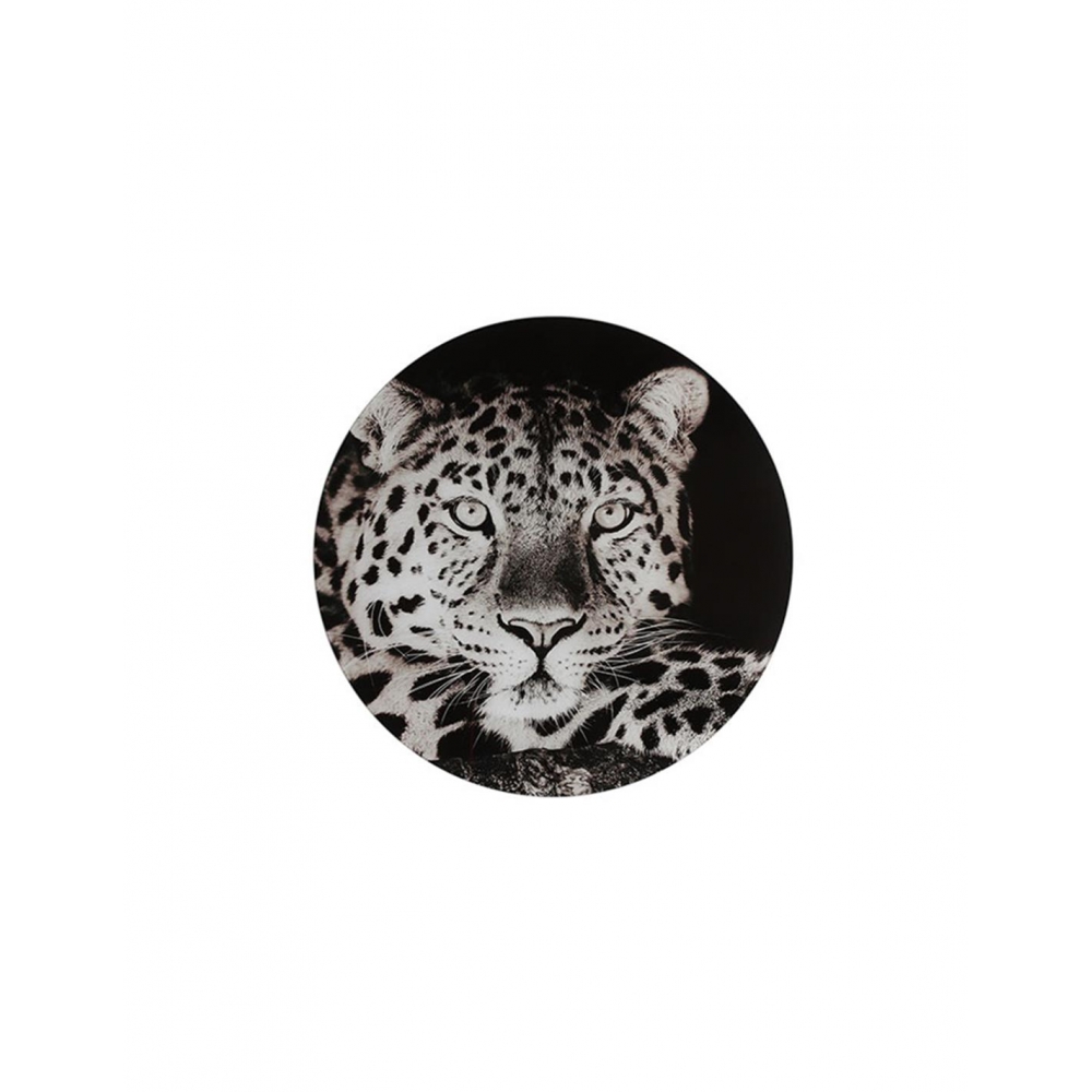 Πίνακας τοίχου γυαλ.Wild Life ασπρόμαυρο 50Χ50 Plastona 013.792831