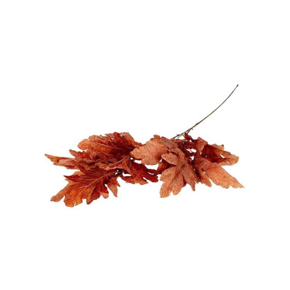 Πλατανόφυλλο κλαδί καφέ 105εκ. Plastona 012.852502112
