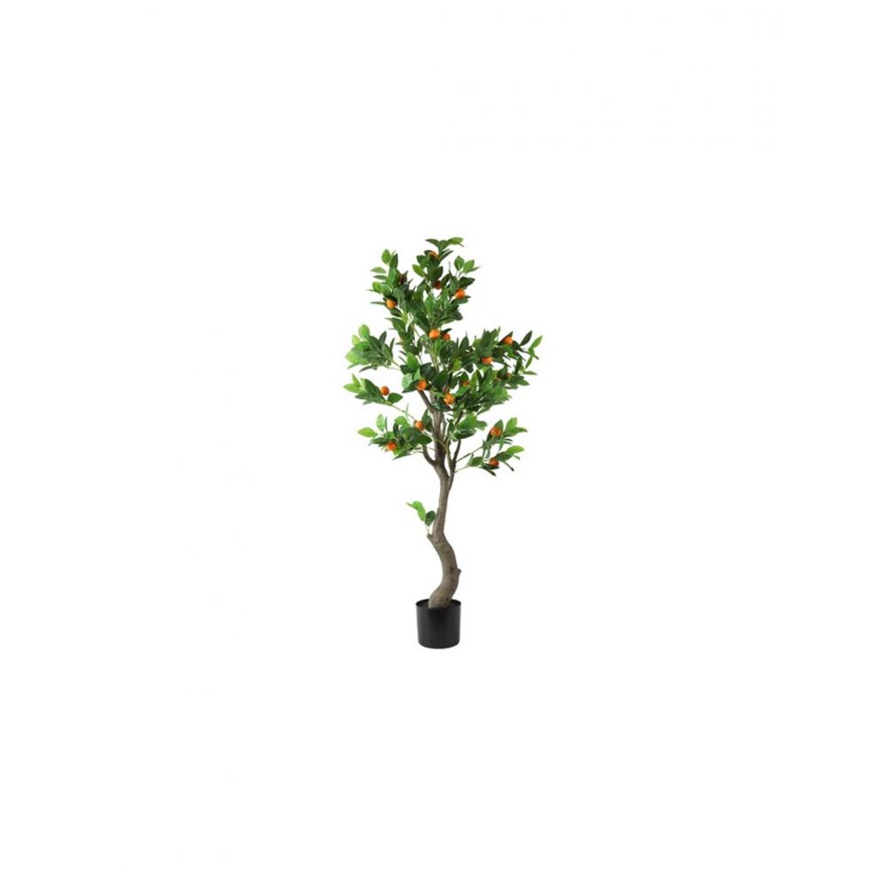 Πορτοκαλιά σε κασπώ Φ110Η150cm Plastona 013.804897