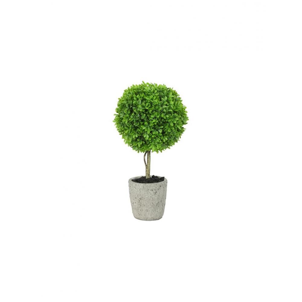 Πρασινάδα Buxus 40εκ. Plastona 013.805251