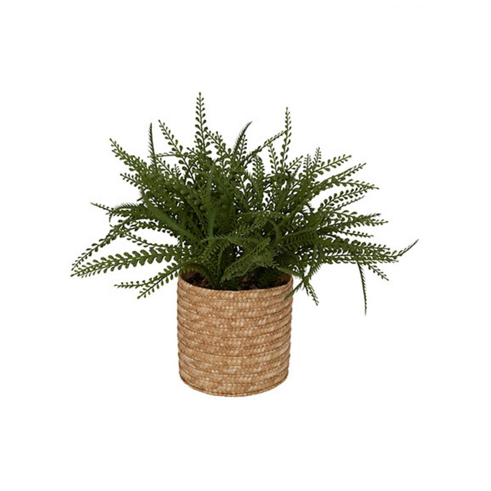 Πρασινάδα σε κασπώ ψάθινο 30x45cm Plastona 07.206609