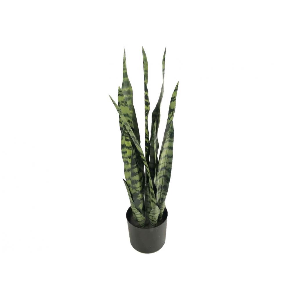 Sanseveria σε κασπώ Φ16Η68cm Plastona 012.862474011