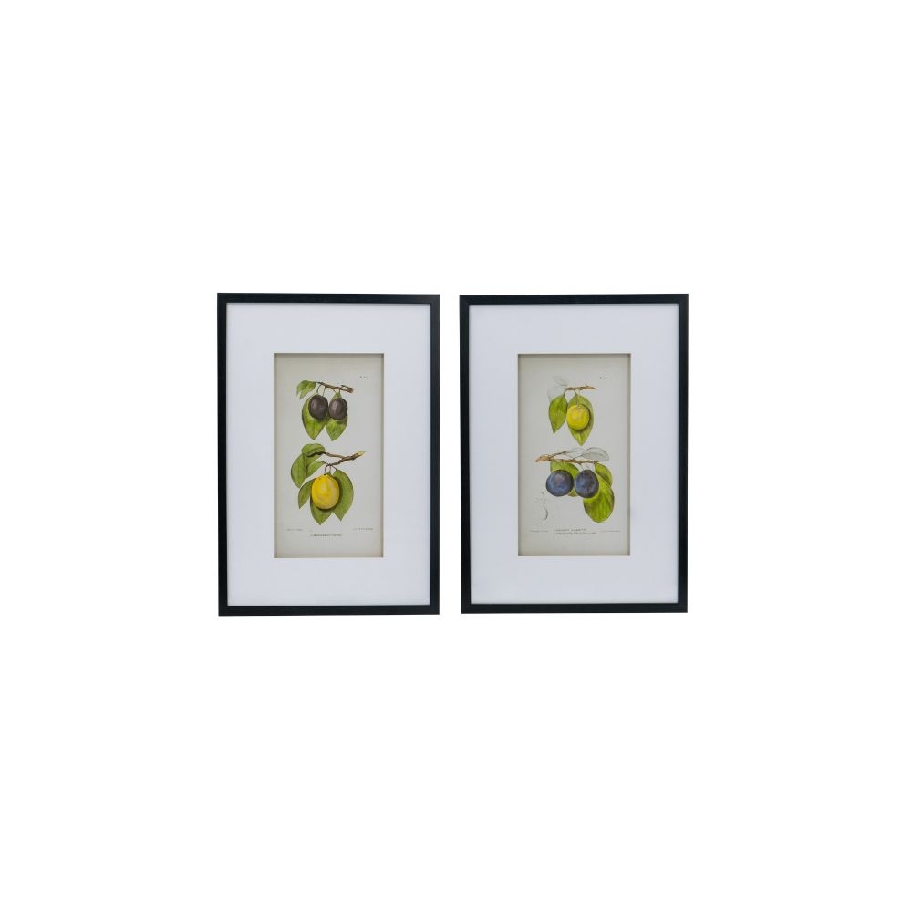 Artekko Botanical Πίνακας με Κορνίζα Πλαστικό Γυαλί Μαύρο Κίτρινο (50x3x70)cm Σετ/2 Artekko SM78453