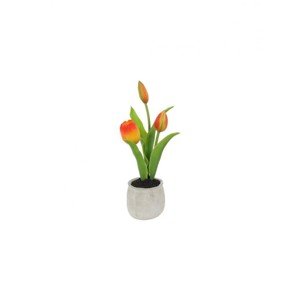 Τουλίπες πορτοκαλί σε κασπώ Φ9Η26,5cm Plastona 013.821123