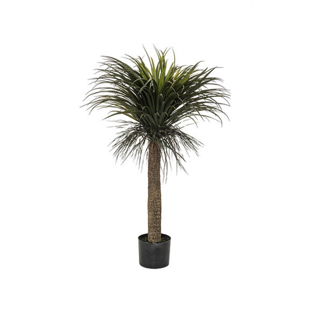 Τροπικό Yucca σε κασπώ Η150cm Plastona 07.185479