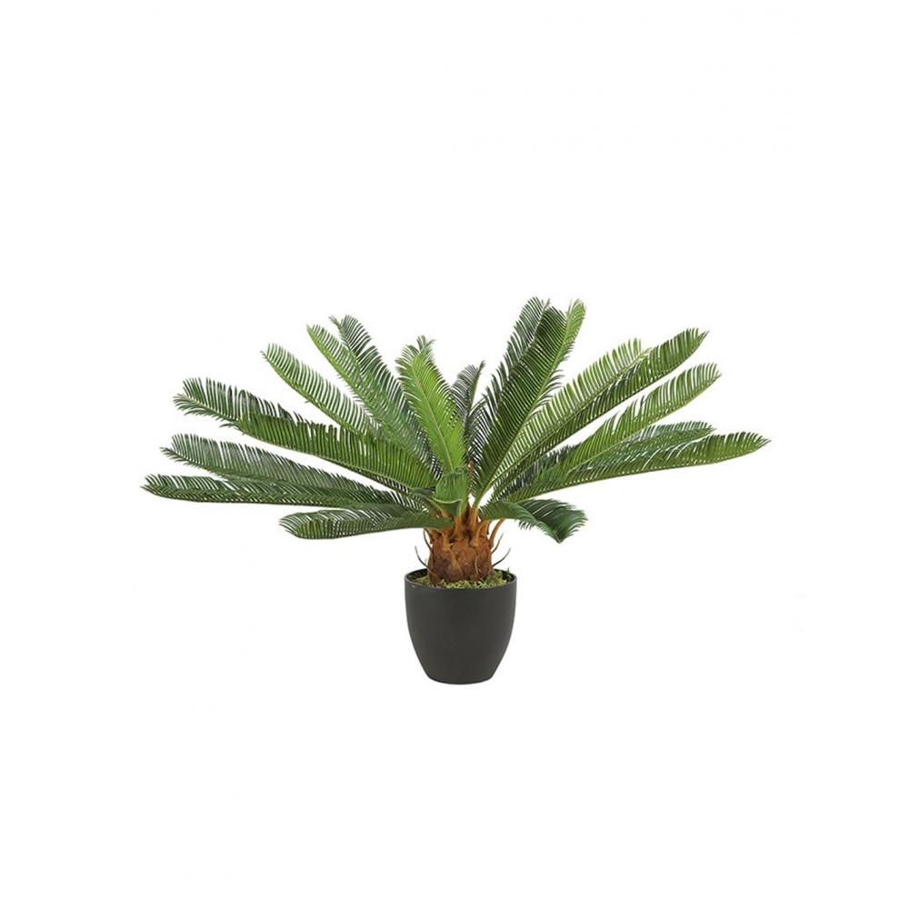 Τσικας σε κασπώ Η72cm Plastona 013.780836