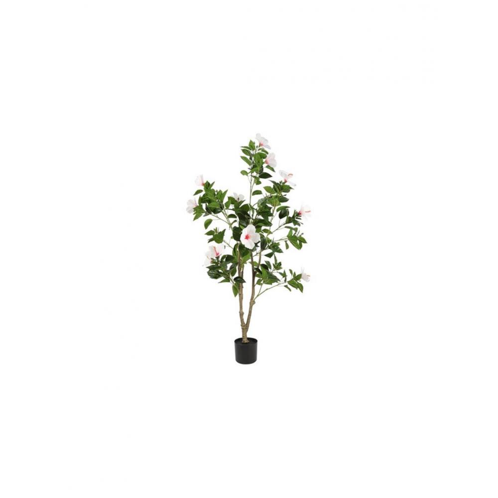 Υβίσκος λευκός σε κασπώ 60x145εκ. Plastona 013.826485