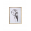 Πίνακας ANIMAL 2σχ. 58Χ78 Plastona 07.166905D