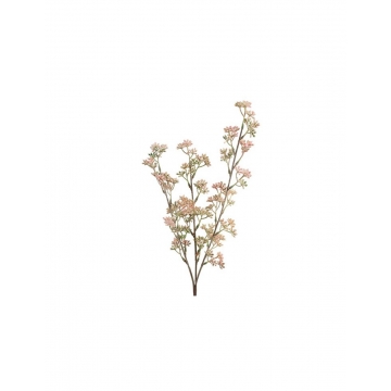 Prunus κλαδί ροζ
