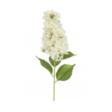 Ορτανσία Paniculata κλαδί λευκό  83εκ.