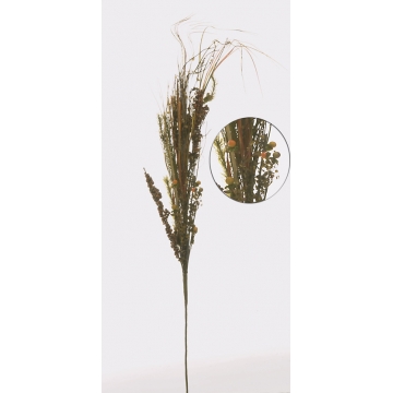 Κλαρί Grass Berries 85cm