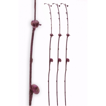 Κλαρί με Βολβούς Μωβ, 90cm