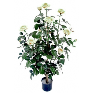 Τριανταφυλλιά Vendela X 16 Τριαντάφυλλα 96cm