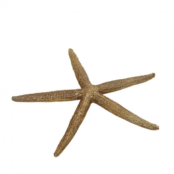 ΑΣΤΕΡΙΑΣ ΧΡΥΣΟΣ  20,5X20,5X2,5CM.
