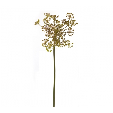Κλαρί καφέ/πράσινα άνθη για συνθέσεις, 70cm