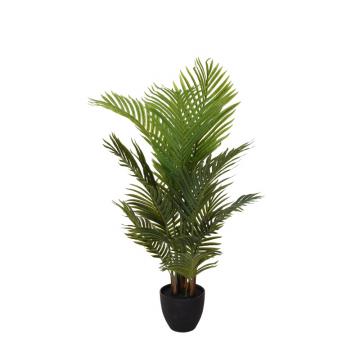 Φυτό "Areca" σε γλαστρα, 12 φύλλα, Υ.94cm