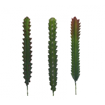 Κλαδί κάκτου σε 3 σχέδια.,31cm