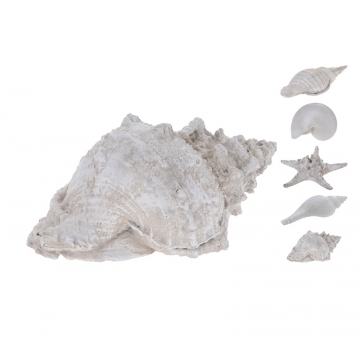 Διακοσμητικά κοχύλια πολυρέζιν 4σχ.,22cm
