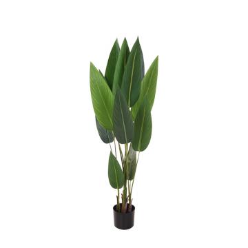 Φυτό "Bird of Paradise" με 12 φύλλα, 130cm