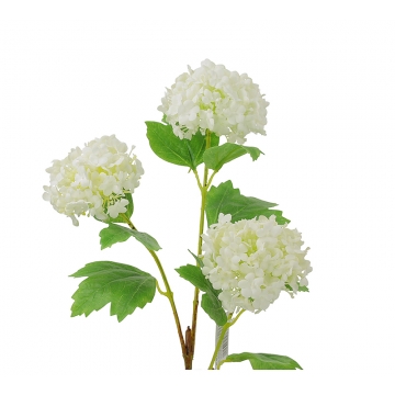Snowball x 3 άνθη, λευκό χρ.