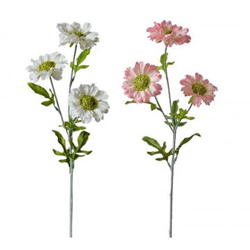Λουλούδι Cosmos x 3 σε 2 χρ.(Λευκό&Ροζ),75cm