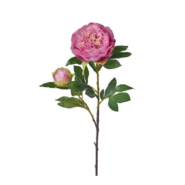 Παιώνια κλαδί x 1 μπουμπούκι, ροζ 96cm
