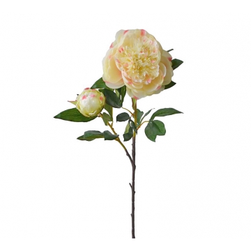 Παιώνια κλαδί x 1 μπουμπούκι, απαλό κίτρινο, 96cm