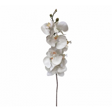 Ορχιδέα φαλένοψις λευκή/κίτρινη, 94cm