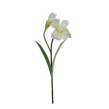 Κλαδί Iris x 1 μπουμπούκι, λευκό 94cm