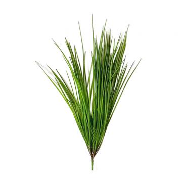 Monkey grass, 52cm