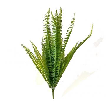 Φύλλα φτέρης σε μάτσο,72cm