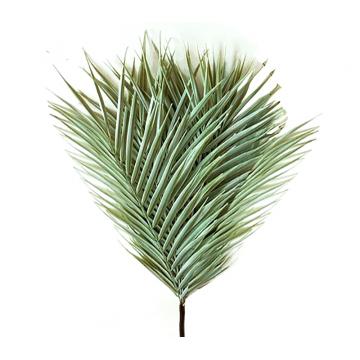 Φύλλα φοίνικα "Areca "σε μάτσο,52cm