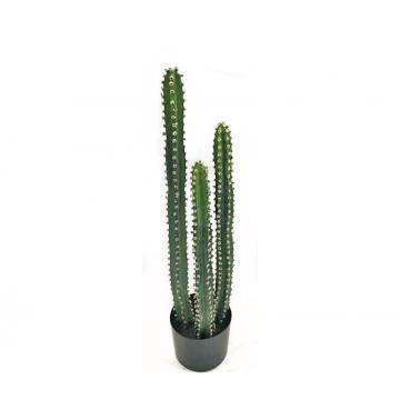 Κάκτος Arizona σε κασπώ,80cm