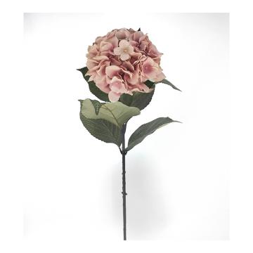 Ορτανσία "dusty pink", 83cm