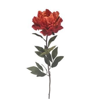 Παιώνια σε χρώμα πάπρικας,82cm